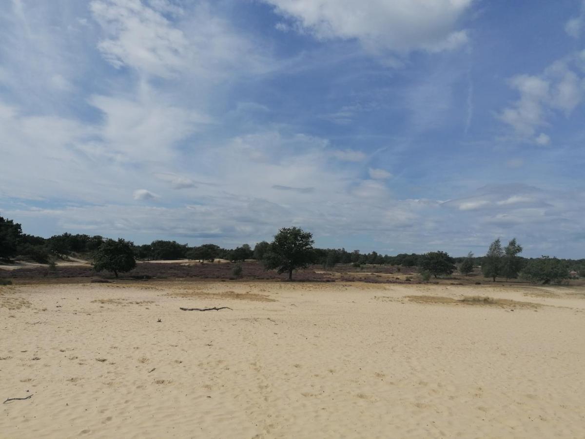 Vakantiehuis De Schaapskooi درونين المظهر الخارجي الصورة