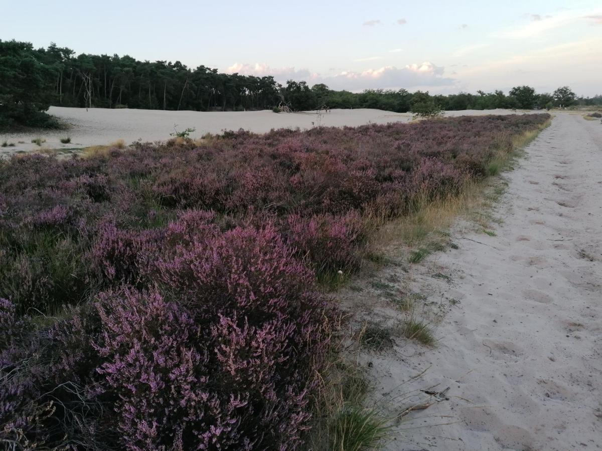 Vakantiehuis De Schaapskooi درونين المظهر الخارجي الصورة